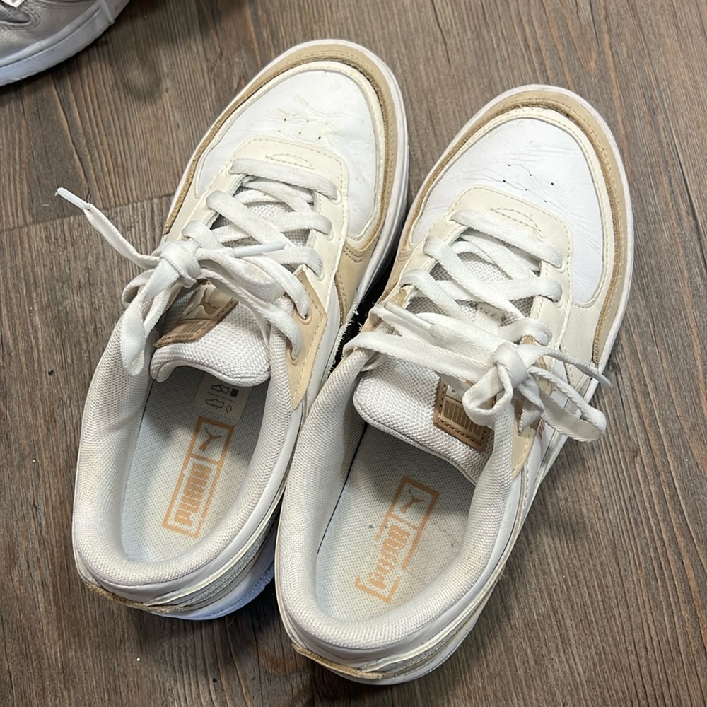 Tan and white pumas